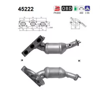 Catalyseur AS 45222