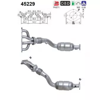 Catalyseur AS 45229