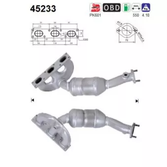 Catalyseur AS 45233