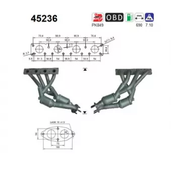 Catalyseur AS 45236