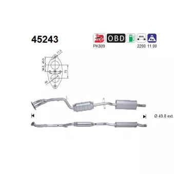 Catalyseur AS 45243