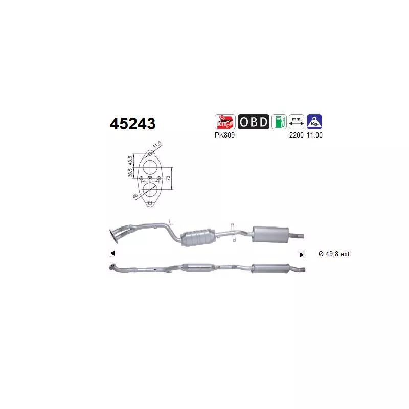 Catalyseur AS 45243