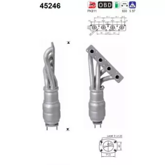 Catalyseur AS 45246