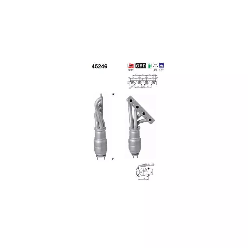 Catalyseur AS 45246