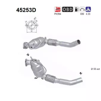 Catalyseur AS 45253D