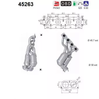 Catalyseur AS 45263