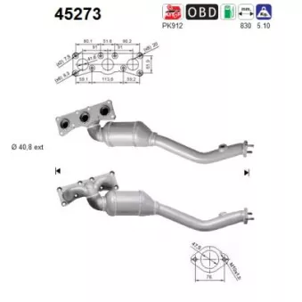 Catalyseur AS 45273