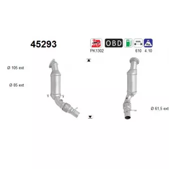 Catalyseur AS 45293