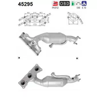 Catalyseur AS 45295