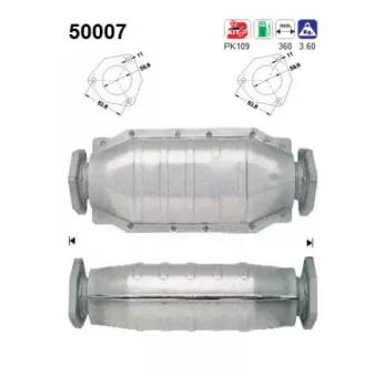 Catalyseur AS 50007
