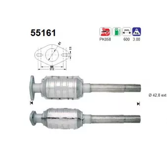 Catalyseur AS 55161