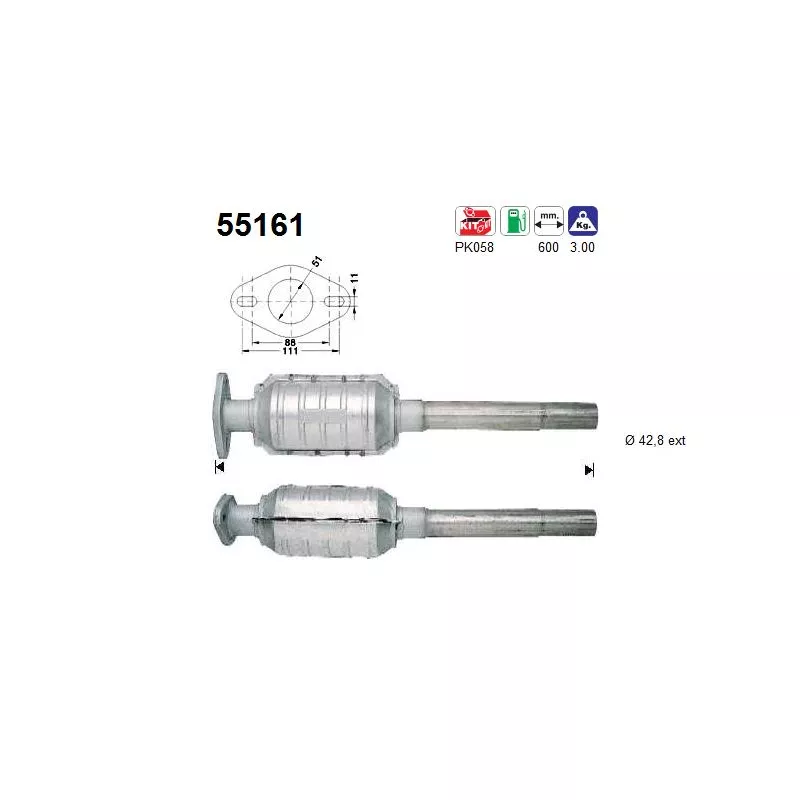 Catalyseur AS 55161