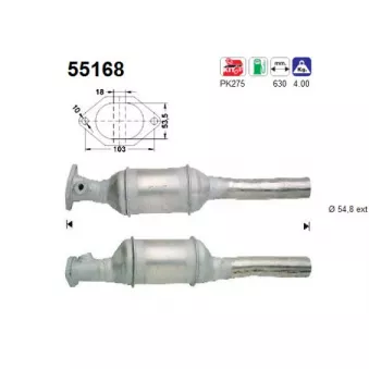 Catalyseur AS 55168
