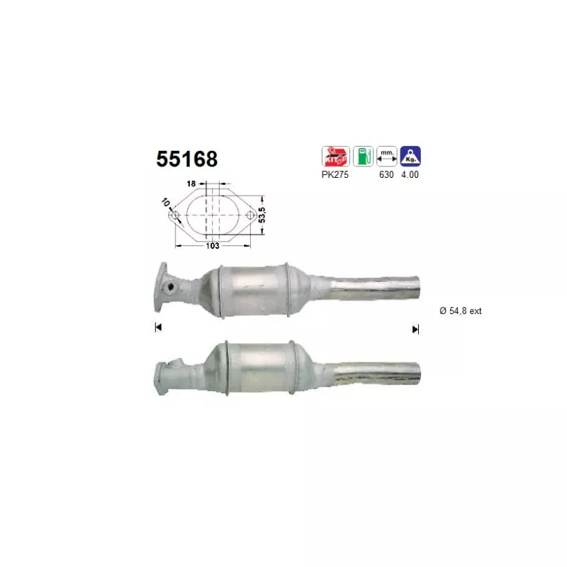 Catalyseur AS 55168