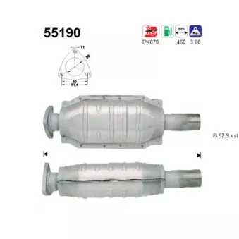 Catalyseur AS 55190