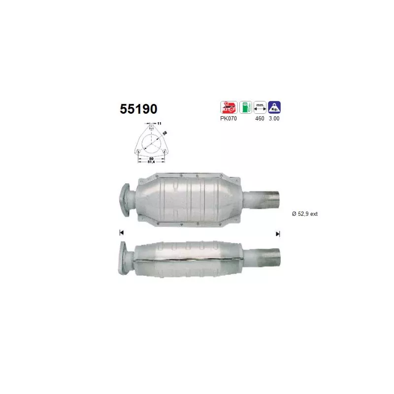 Catalyseur AS 55190