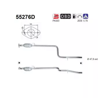 Catalyseur AS 55276D