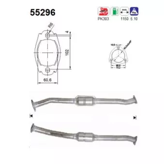 Catalyseur AS 55296