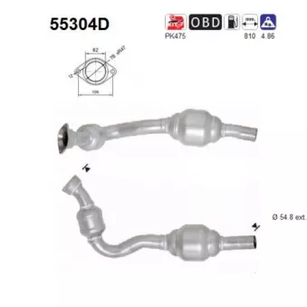 Catalyseur AS 55304D