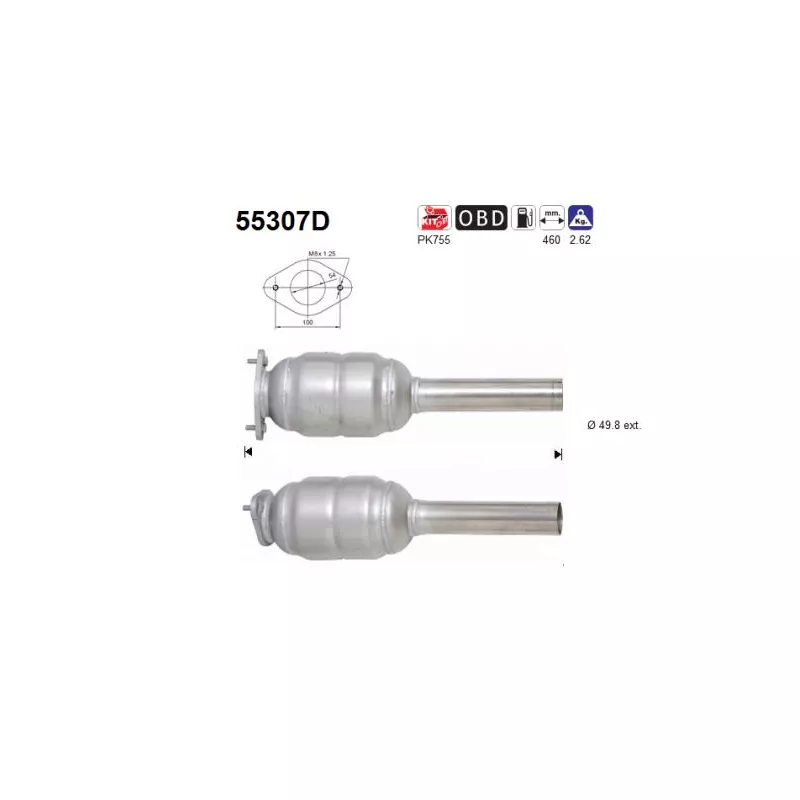 Catalyseur AS 55307D