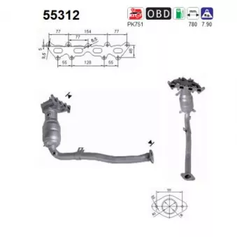 Catalyseur AS 55312