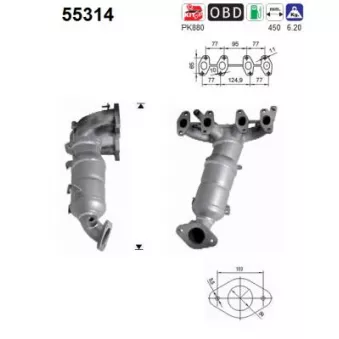 Catalyseur AS 55314