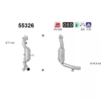 Catalyseur AS 55326