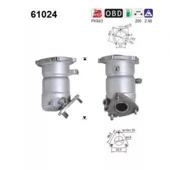 Catalyseur AS 61024