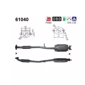 Catalyseur AS 61040