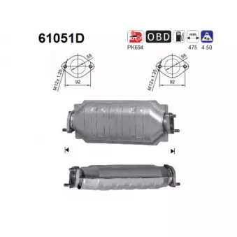 Catalyseur AS 61051D
