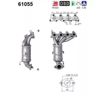 Catalyseur AS 61055