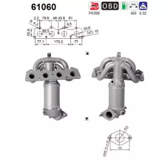 Catalyseur AS 61060
