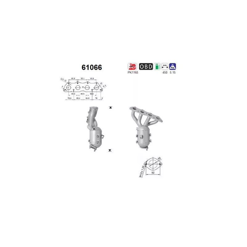 Catalyseur AS 61066
