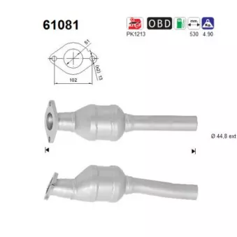 Catalyseur AS 61081