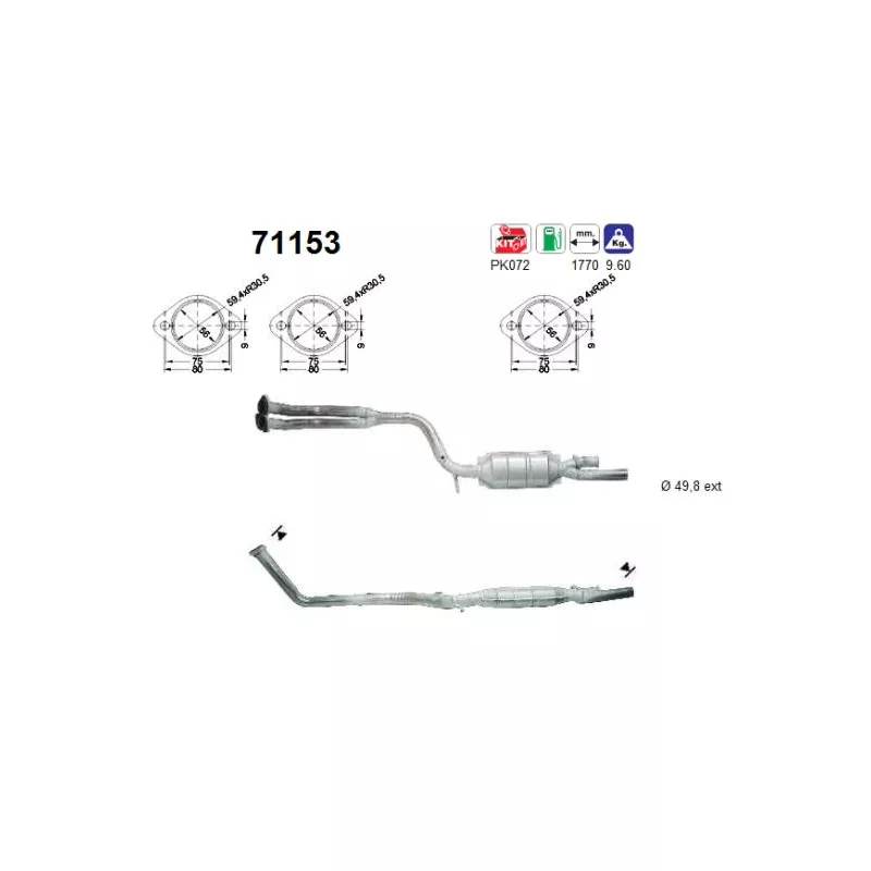 Catalyseur AS 71153