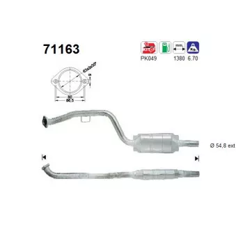 Catalyseur AS 71163