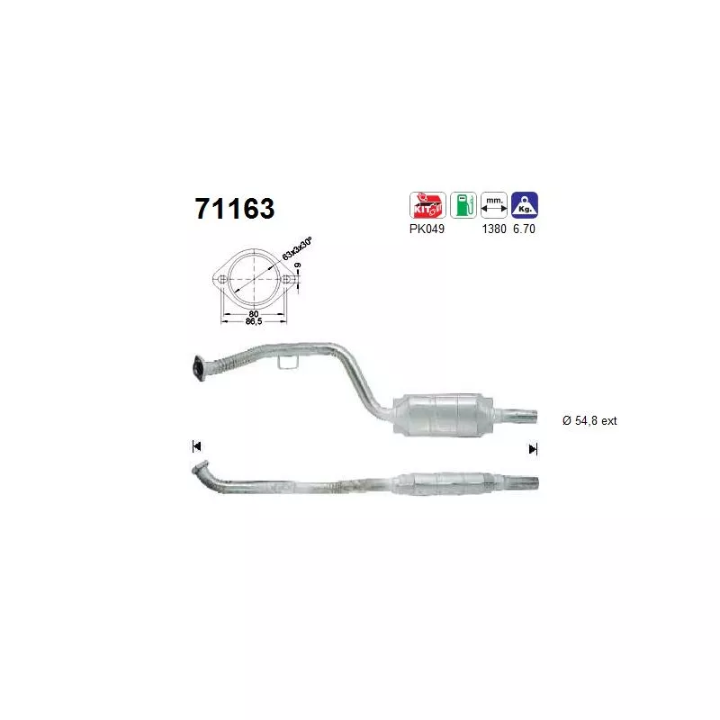 Catalyseur AS 71163