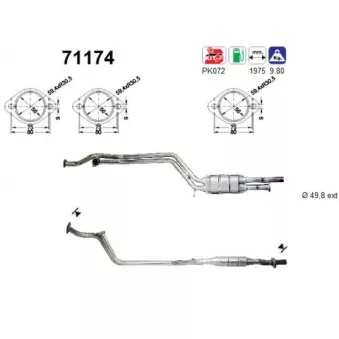 Catalyseur AS 71174