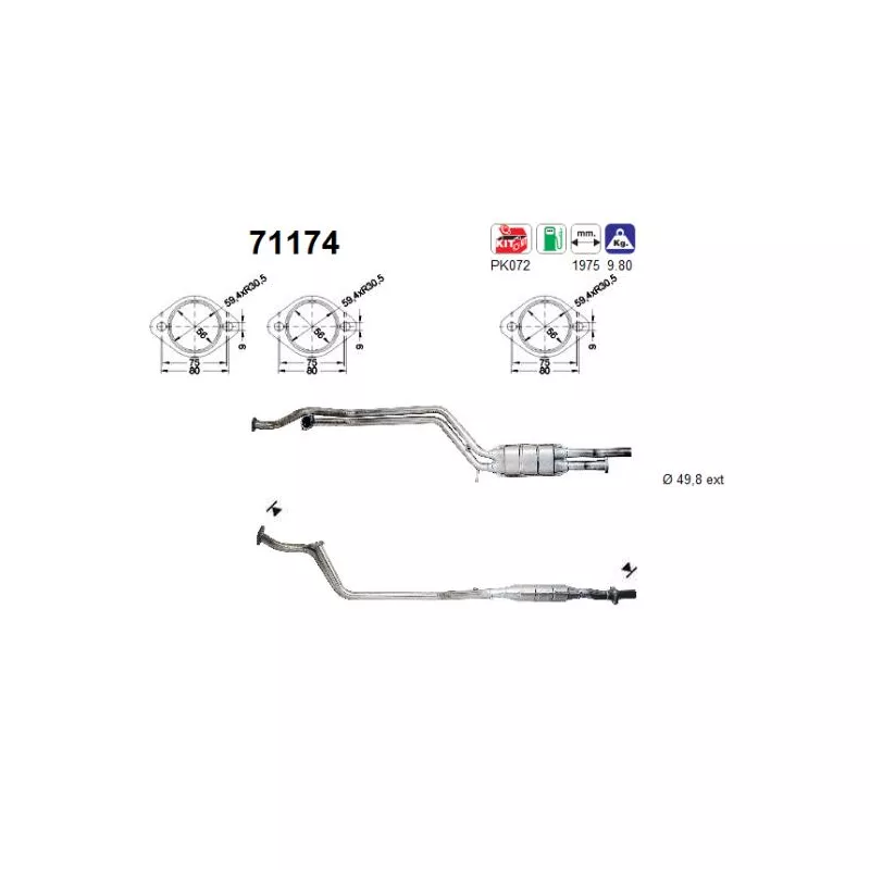 Catalyseur AS 71174