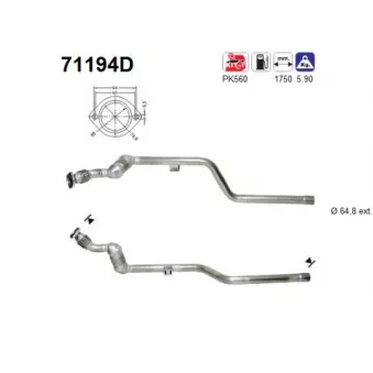 Catalyseur AS 71194D