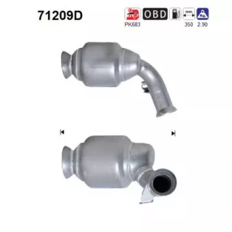 Catalyseur AS 71209D