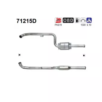 Catalyseur AS 71215D