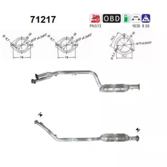 Catalyseur AS 71217