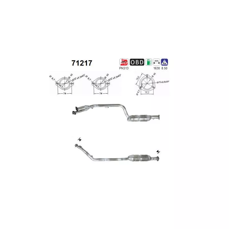 Catalyseur AS 71217