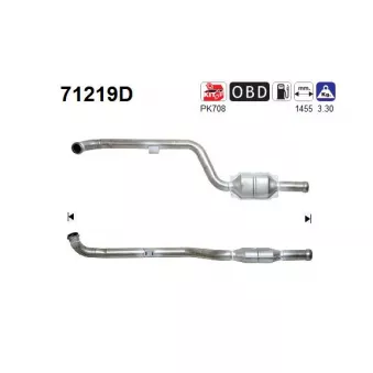 Catalyseur AS 71219D