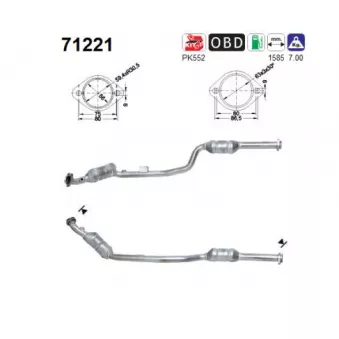 Catalyseur AS 71221