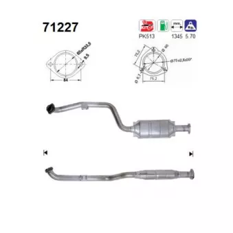 Catalyseur AS 71227