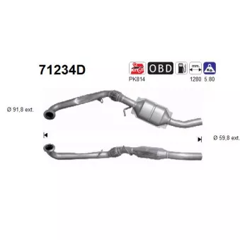 Catalyseur AS 71234D