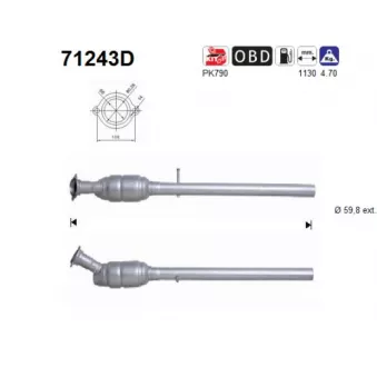 Catalyseur AS 71243D