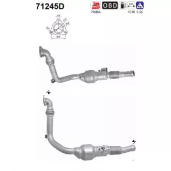 Catalyseur AS 71245D